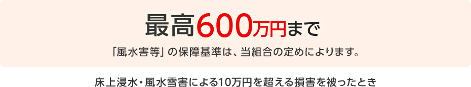 風水雪害
