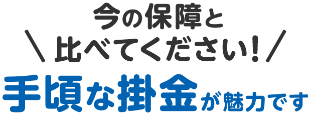 今の保障と比べてください！手頃な掛金が魅力です