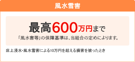 【風水雪害】[最高600万円まで 「風水害等」の保障基準は、当組合の定めによります。]床上浸水・風水雪害による10万円を超える損害を被ったとき