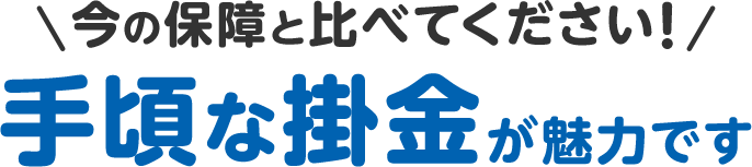 今の保障と比べてください！手頃な掛金が魅力です