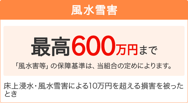 【風水雪害】[最高600万円まで 「風水害等」の保障基準は、当組合の定めによります。]床上浸水・風水雪害による10万円を超える損害を被ったとき