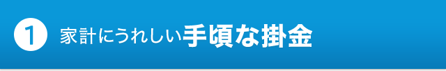 ポイント1 家計にうれしい手頃な掛金