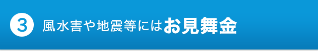 ポイント3 風水害や地震等には見舞共済金等