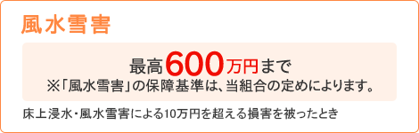 【風水雪害】[最高600万円まで ※「風水雪害」の保障基準は、当組合の定めによります。]床上浸水・風水雪害による10万円を超える損害を被ったとき