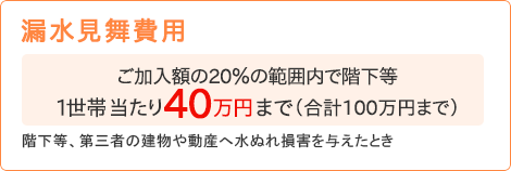 【漏水見舞費用】[ご加入額の20%の範囲内で階下等1世帯当たり40万円まで（合計100万円まで）]階下等、第三者の建物や動産へ水ぬれ損害を与えたとき