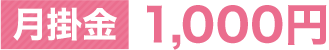 月掛金 1,000円