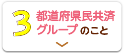 3：都道府県民共済グループのこと