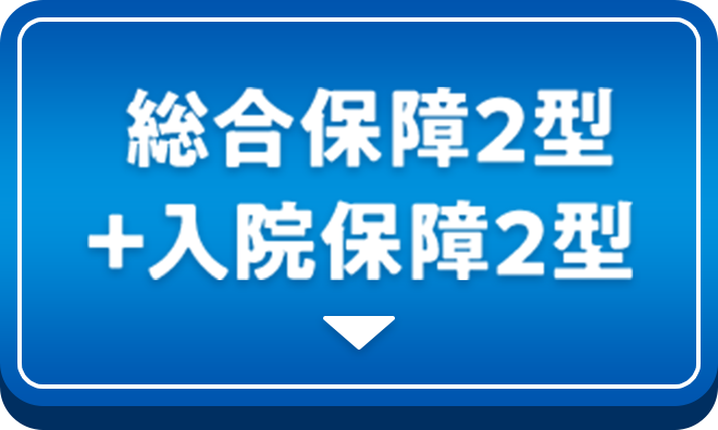 総合保障2型 ＋入院保障2型