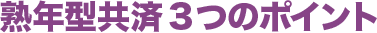 熟年型共済3つのポイント