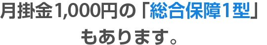 月掛金1,000円の「総合保障1型」もあります。