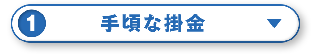 手頃な掛金